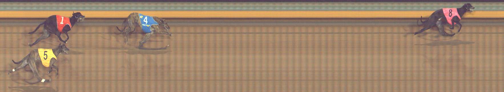 Photo finish for Bendigo Race 12
