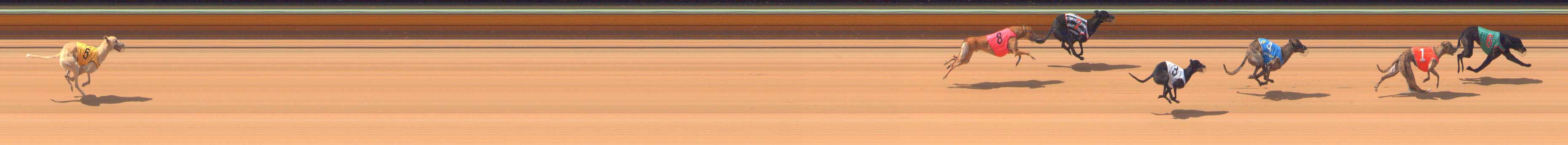 Race result finish photo