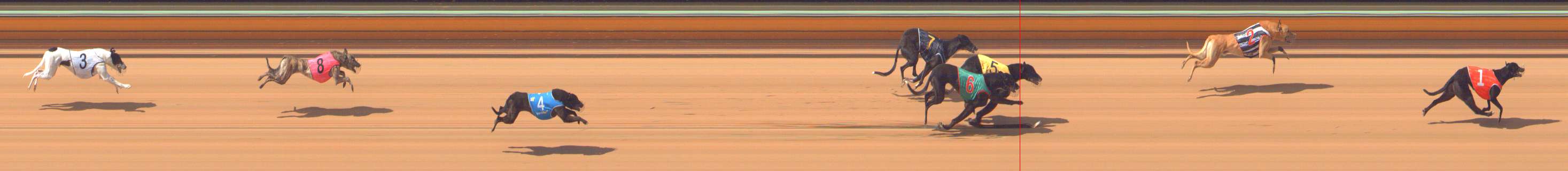 Photo finish for Bendigo Race 3