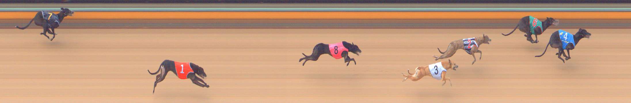 Photo finish for Bendigo Race 4