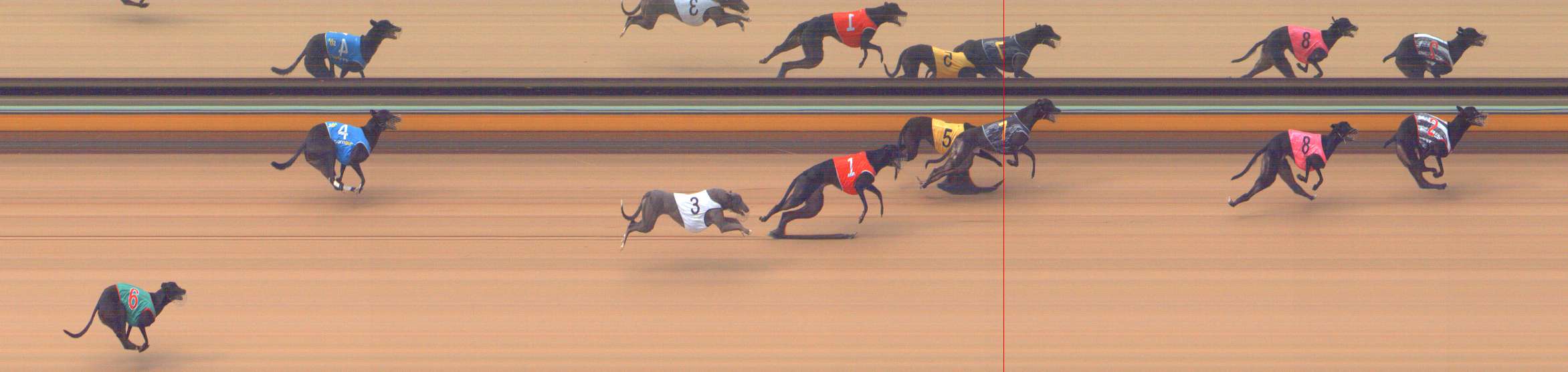 Photo finish for Bendigo Race 5