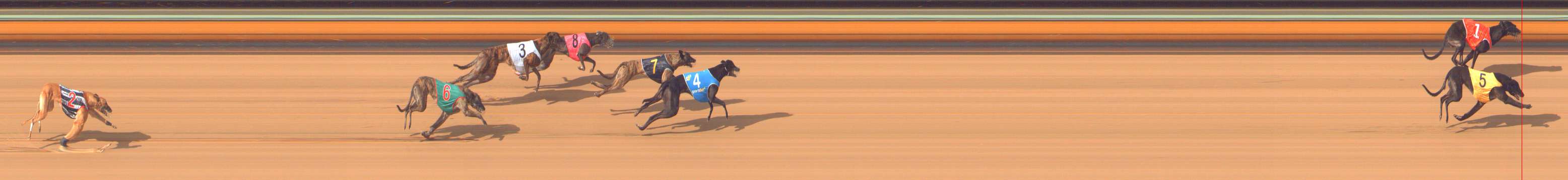 Photo finish for Bendigo Race 6