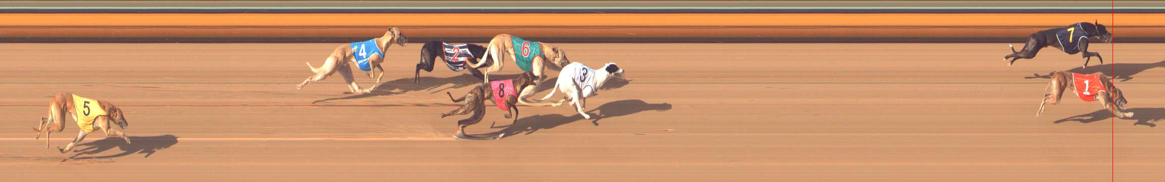 Photo finish for Bendigo Race 8