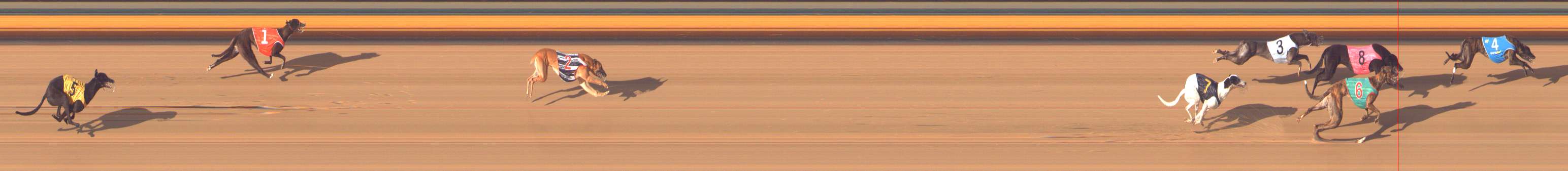 Photo finish for Bendigo Race 9
