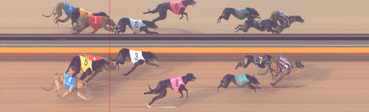 Photo finish for Bendigo Race 10