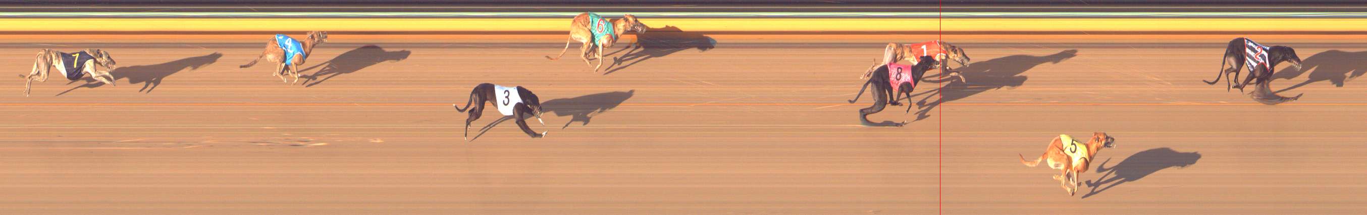 Photo finish for Bendigo Race 11