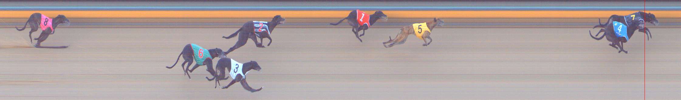 Photo finish for Bendigo Race 13