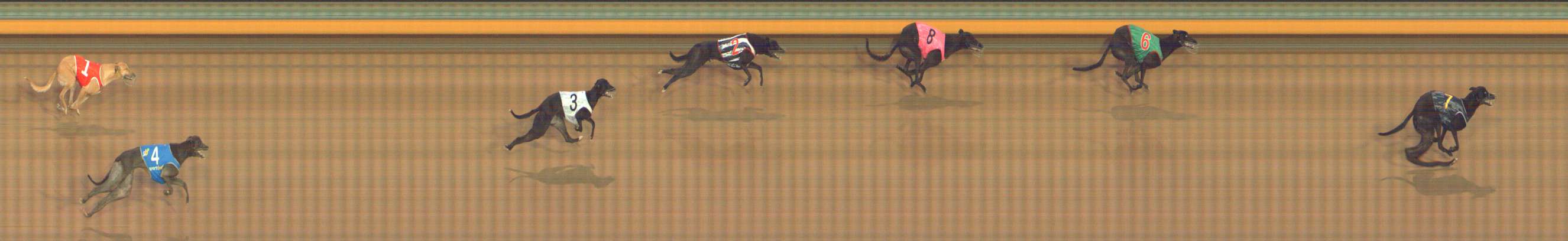 Photo finish for Bendigo Race 2