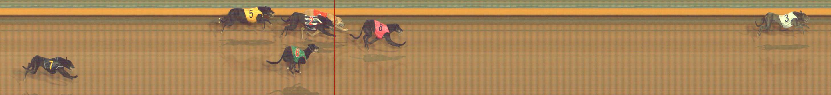 Photo finish for Bendigo Race 3