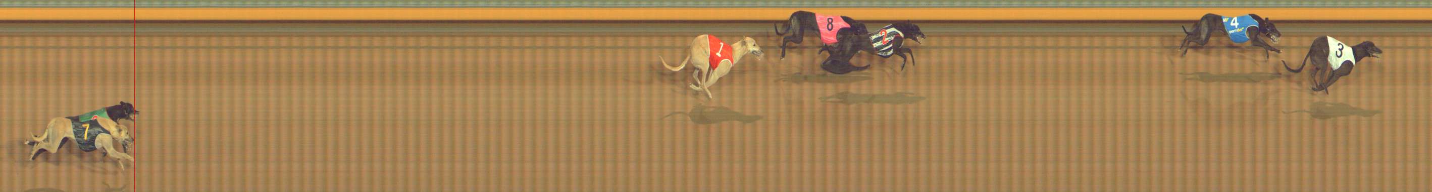 Photo finish for Bendigo Race 4