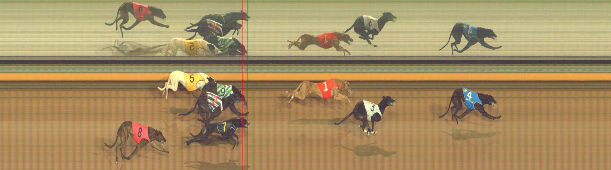 Photo finish for Bendigo Race 5