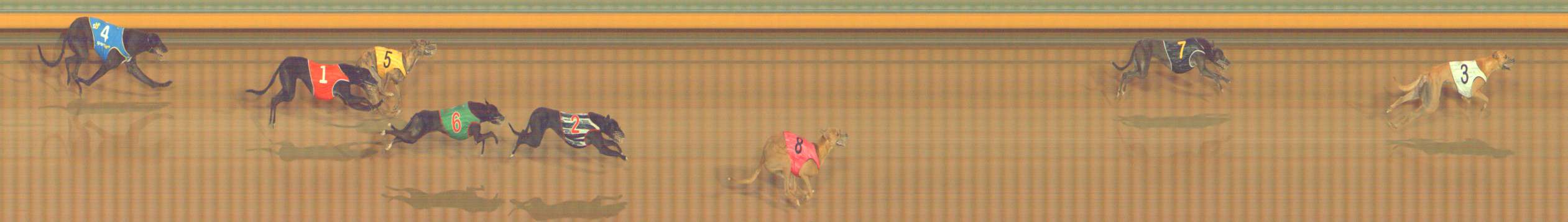 Photo finish for Bendigo Race 6
