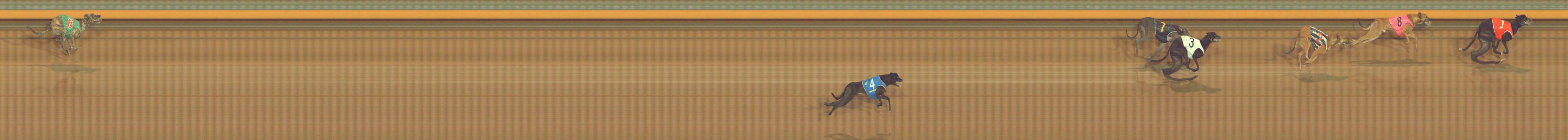 Photo finish for Bendigo Race 8