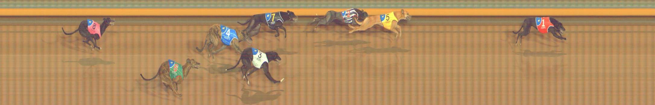 Photo finish for Bendigo Race 9