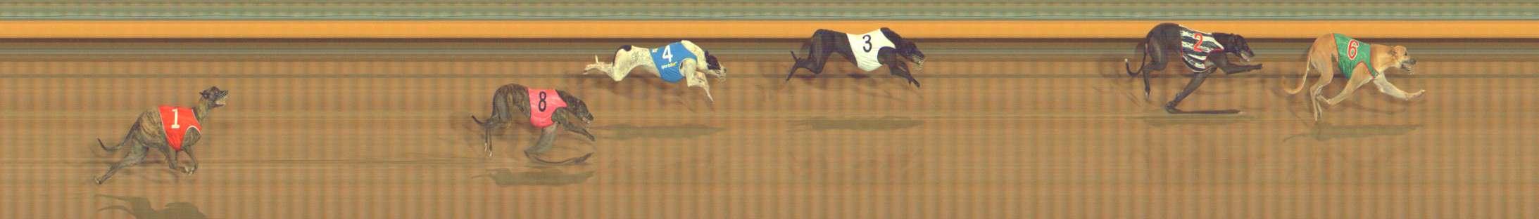 Photo finish for Bendigo Race 10