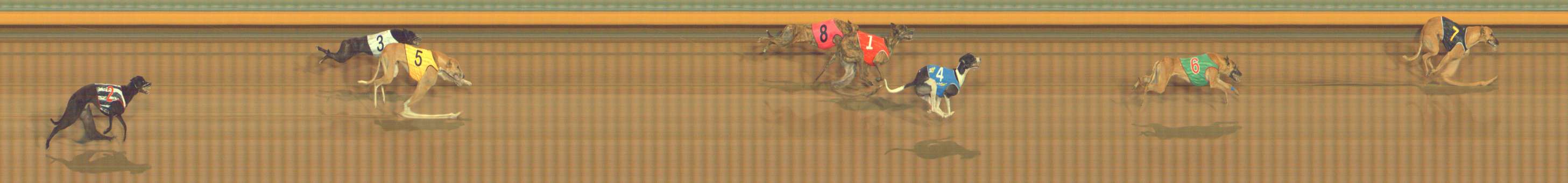 Race result finish photo