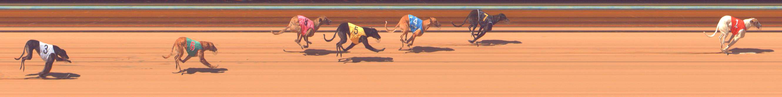 Photo finish for Bendigo Race 4
