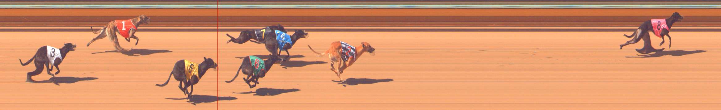 Photo finish for Bendigo Race 5