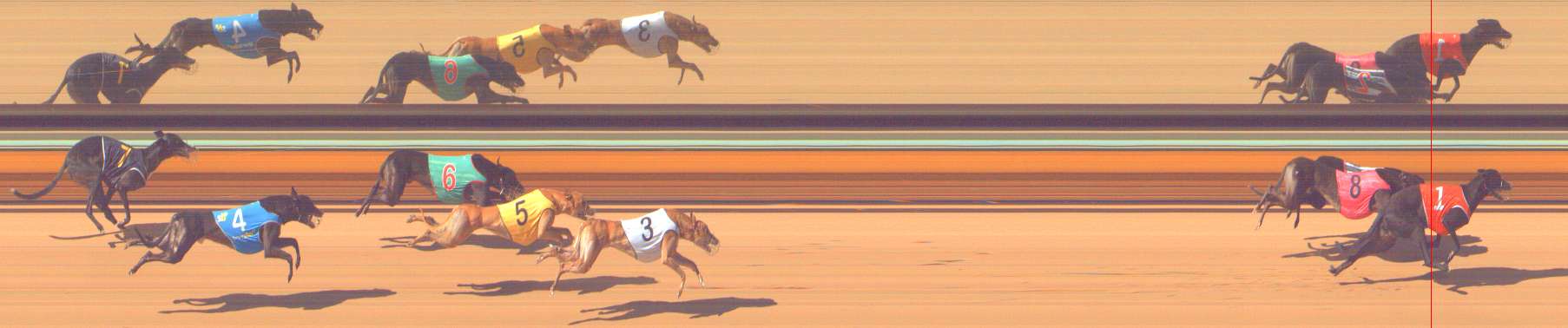 Photo finish for Bendigo Race 6
