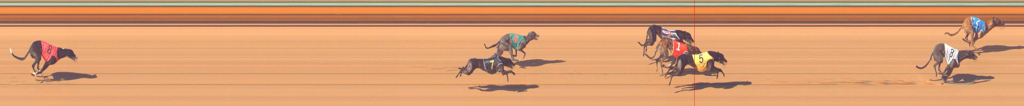 Photo finish for Bendigo Race 7