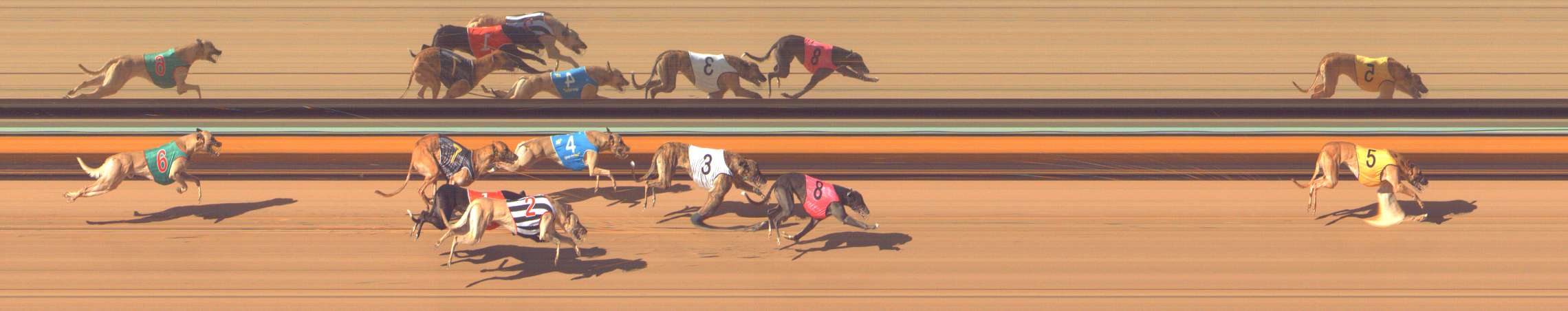 Photo finish for Bendigo Race 8