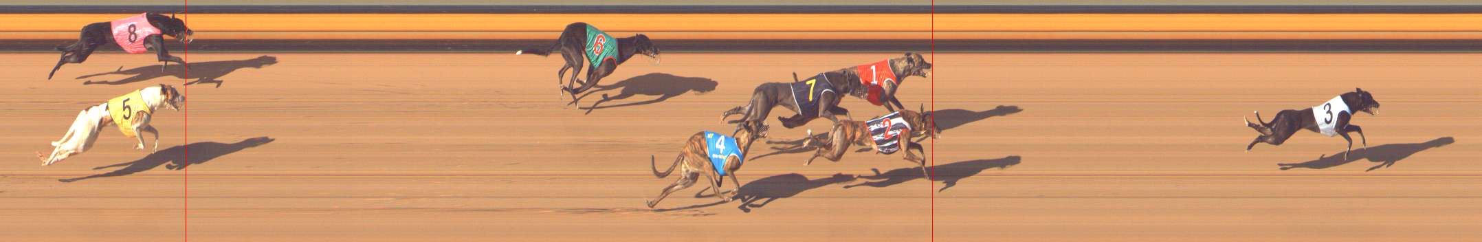 Photo finish for Bendigo Race 10