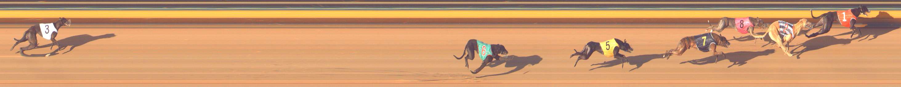 Photo finish for Bendigo Race 11