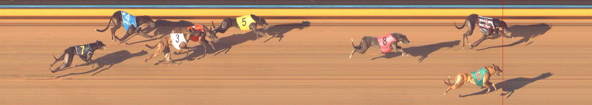 Photo finish for Bendigo Race 12
