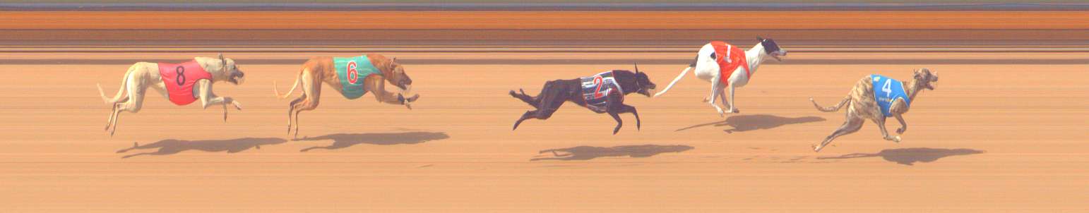 Race result finish photo