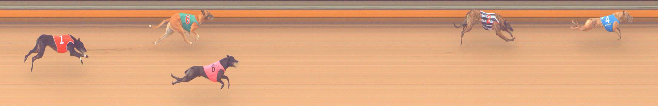 Photo finish for Bendigo Race 2