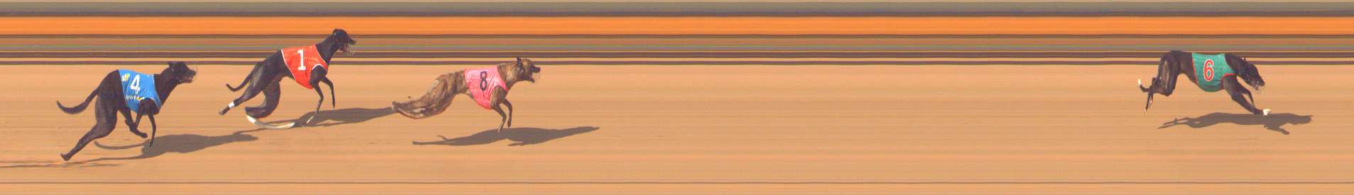 Photo finish for Bendigo Race 3