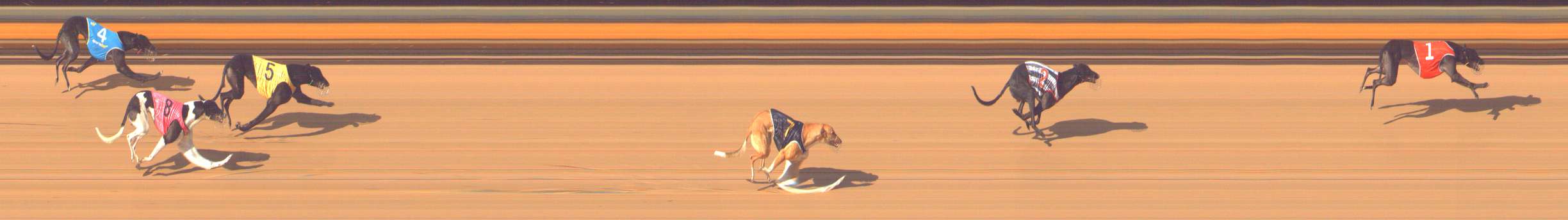 Photo finish for Bendigo Race 4