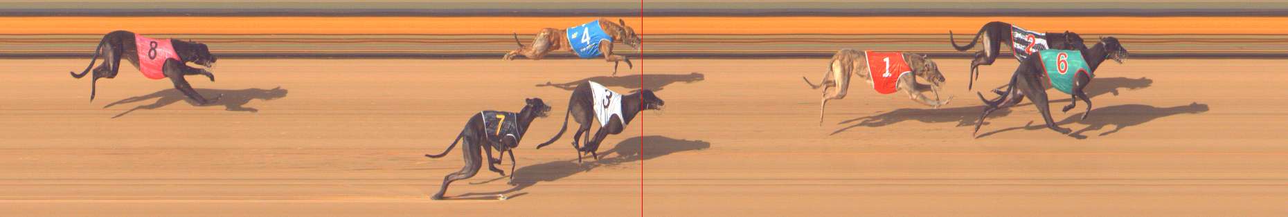 Photo finish for Bendigo Race 5