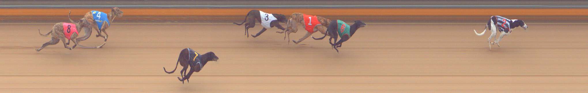 Photo finish for Bendigo Race 7