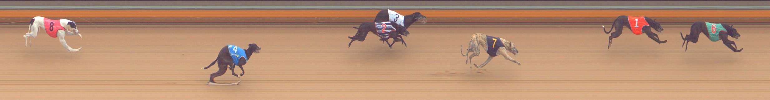 Photo finish for Bendigo Race 8