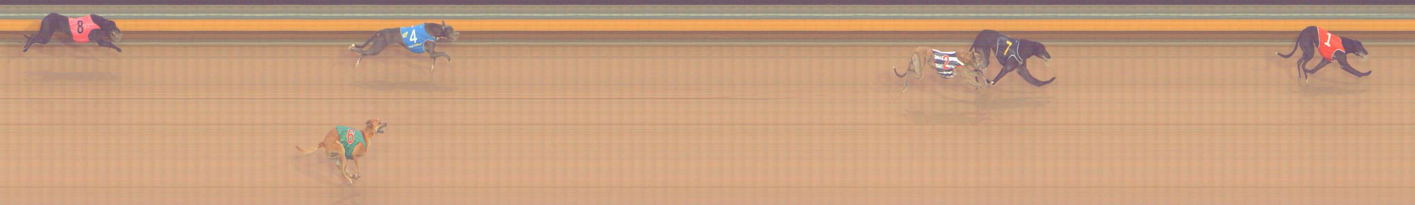 Photo finish for Bendigo Race 10