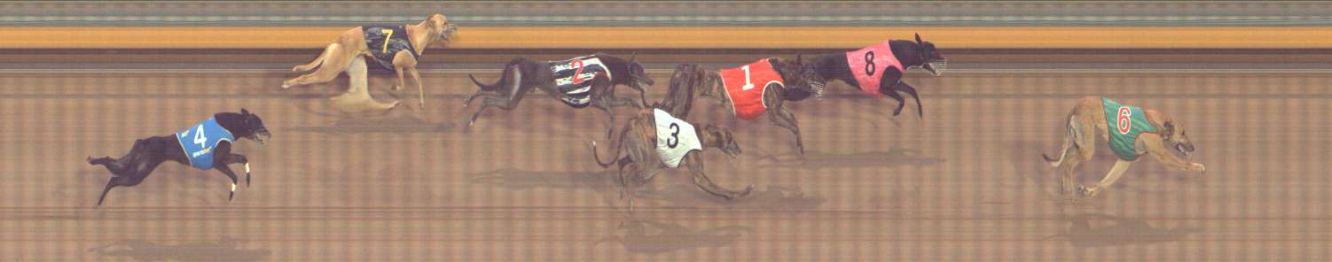 Photo finish for Bendigo Race 11