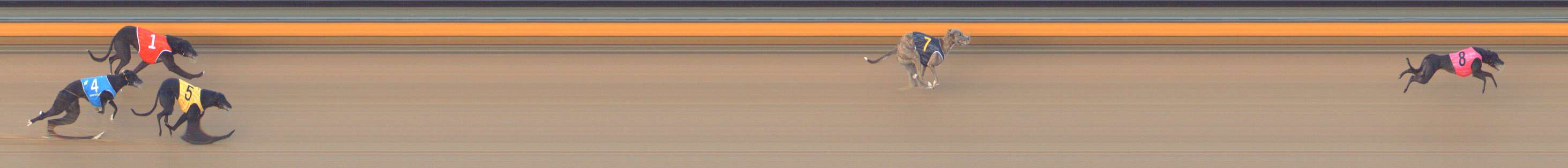 Race result finish photo