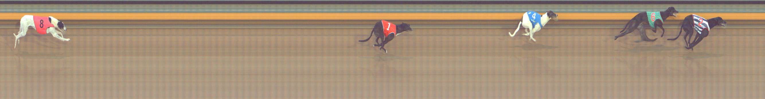 Photo finish for Bendigo Race 3