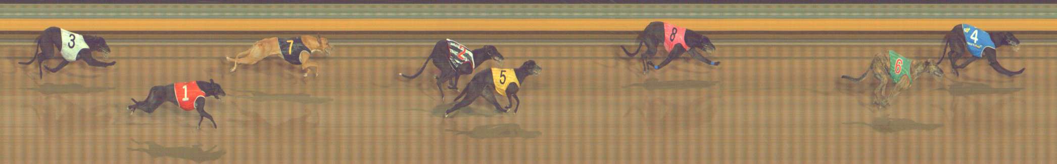 Photo finish for Bendigo Race 5
