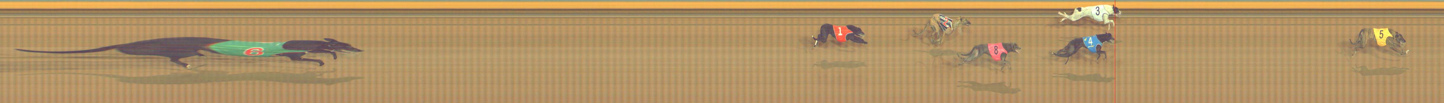 Photo finish for Bendigo Race 6