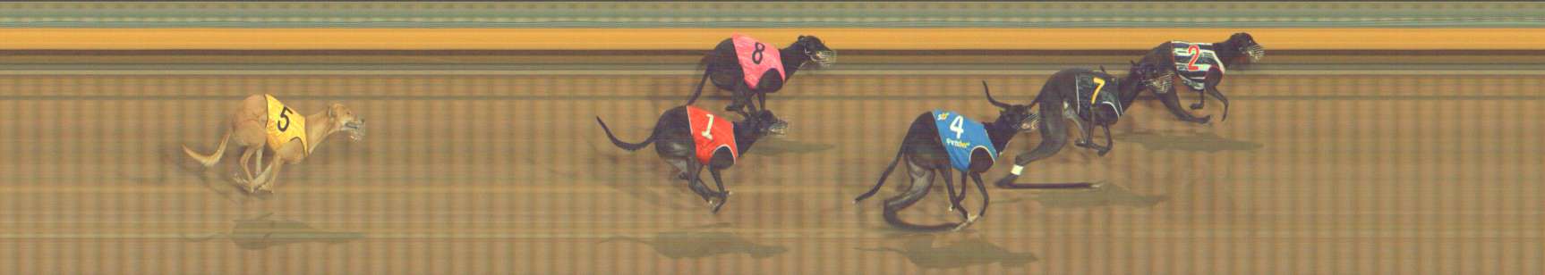 Photo finish for Bendigo Race 7