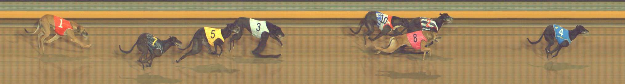 Photo finish for Bendigo Race 8