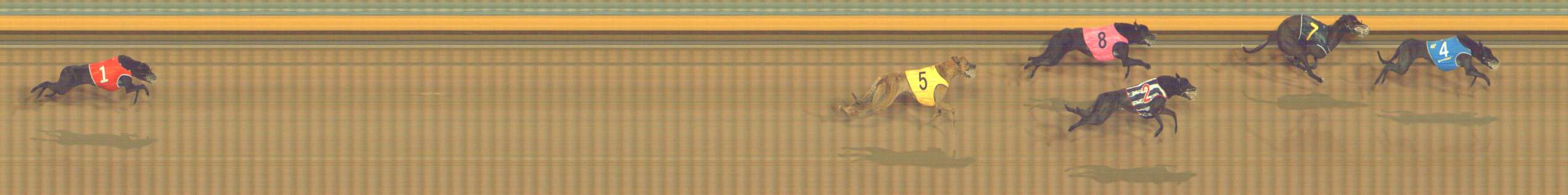 Photo finish for Bendigo Race 9