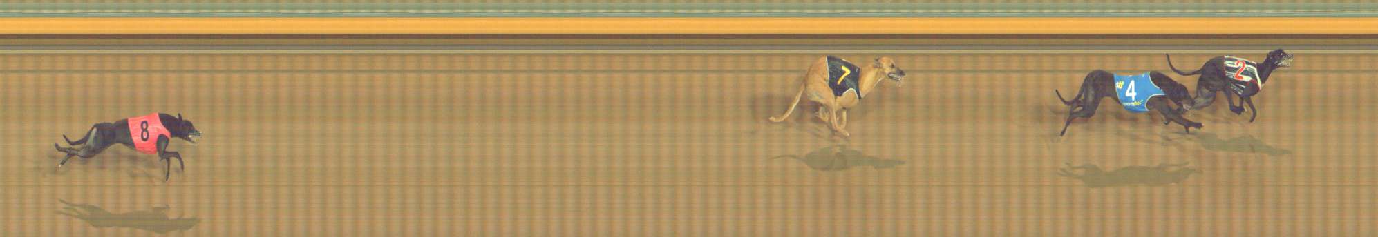 Photo finish for Bendigo Race 10
