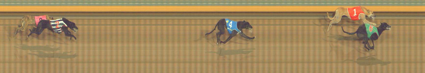 Photo finish for Bendigo Race 11