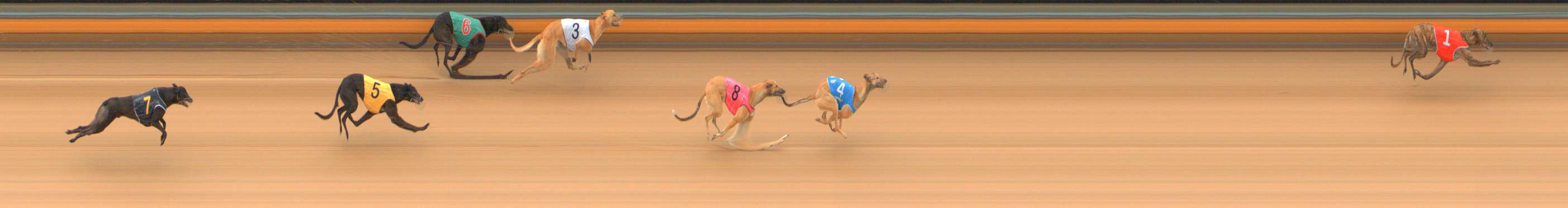 Photo finish for Bendigo Race 1