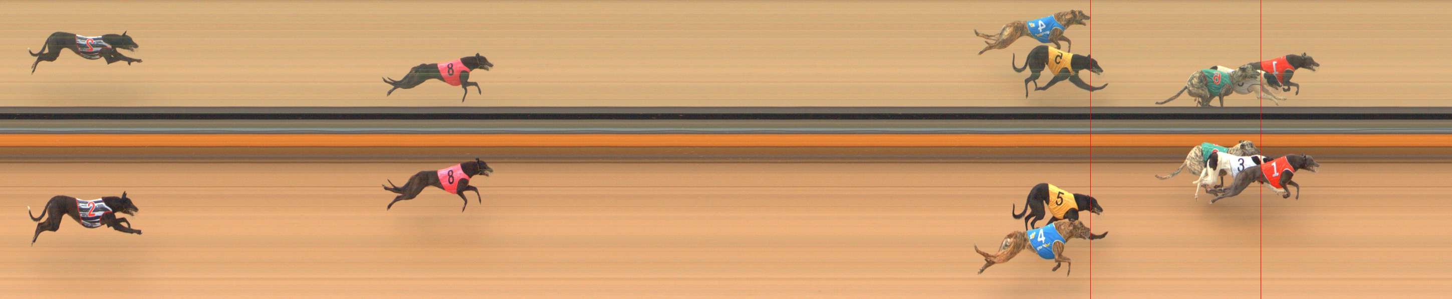 Photo finish for Bendigo Race 2