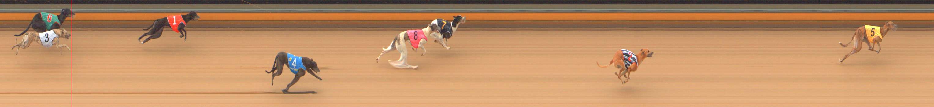 Photo finish for Bendigo Race 5