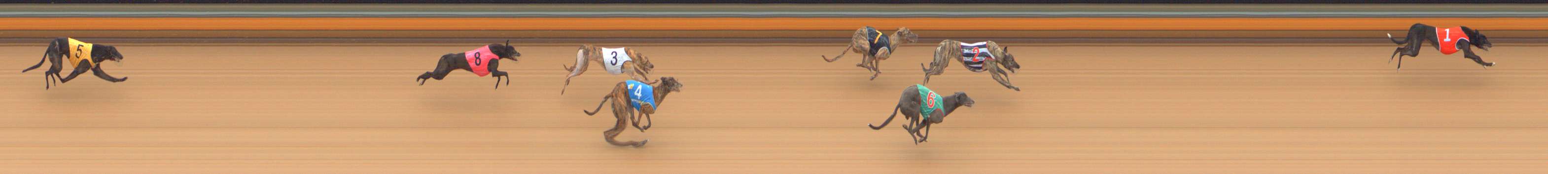 Photo finish for Bendigo Race 7